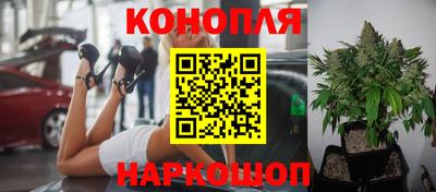 PSILOCYBIN Нягань