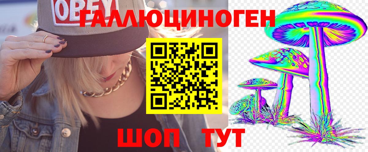 Псилоцибиновые грибы мицелий Фролово