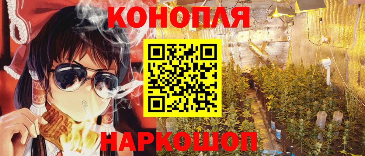 Фролово  Бошки Шишки конопля  МАРИХУАНА план  Вход с VPN  МАРИХУАНА VHQ  Конопля планчик 